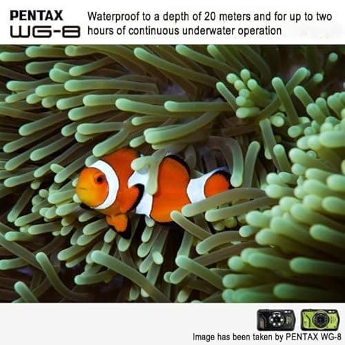 Variant image 5 of Pentax WG-8