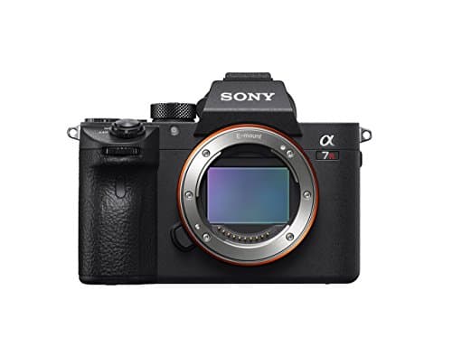 Picture of Sony a7R III
