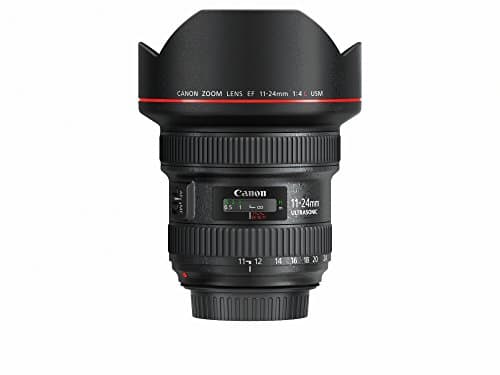 Picture of Canon EF 11-24mm F4L USM
