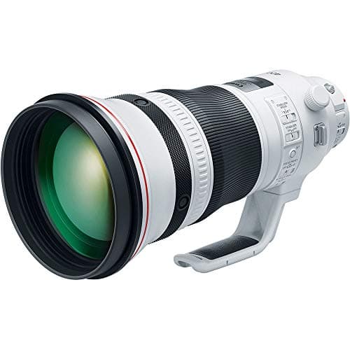 Picture of Canon EF 400mm F2.8L IS III USM