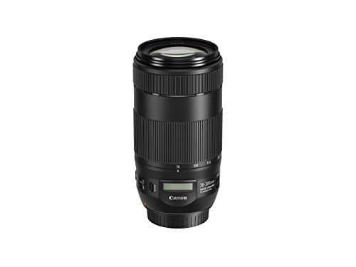Picture of Canon EF 70-300 F4-5.6 IS II USM