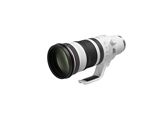 Variant image 0 of Canon RF 100-300mm F2.8L IS USM
