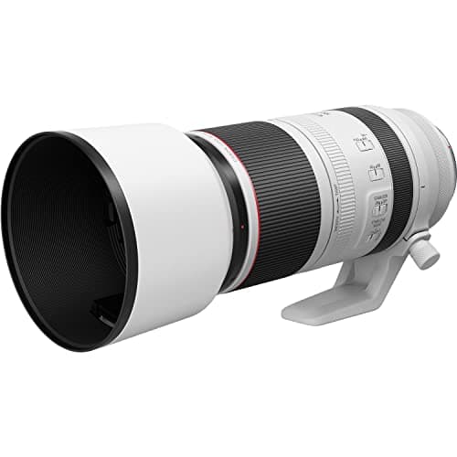 Variant image 4 of Canon RF 100-500mm F4.5-7.1L IS USM