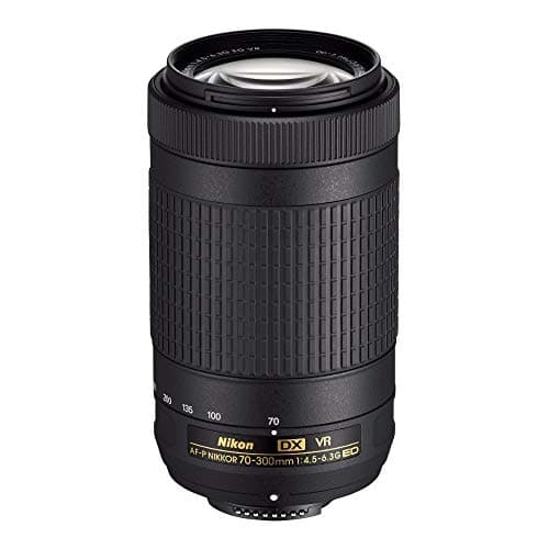 Picture of Nikon AF-P DX Nikkor 70-300mm F4.5-6.3G VR