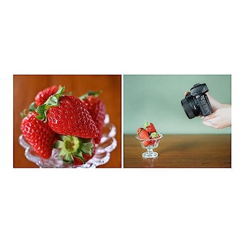 Variant image 5 of Nikon Nikkor Z DX 24mm F1.7