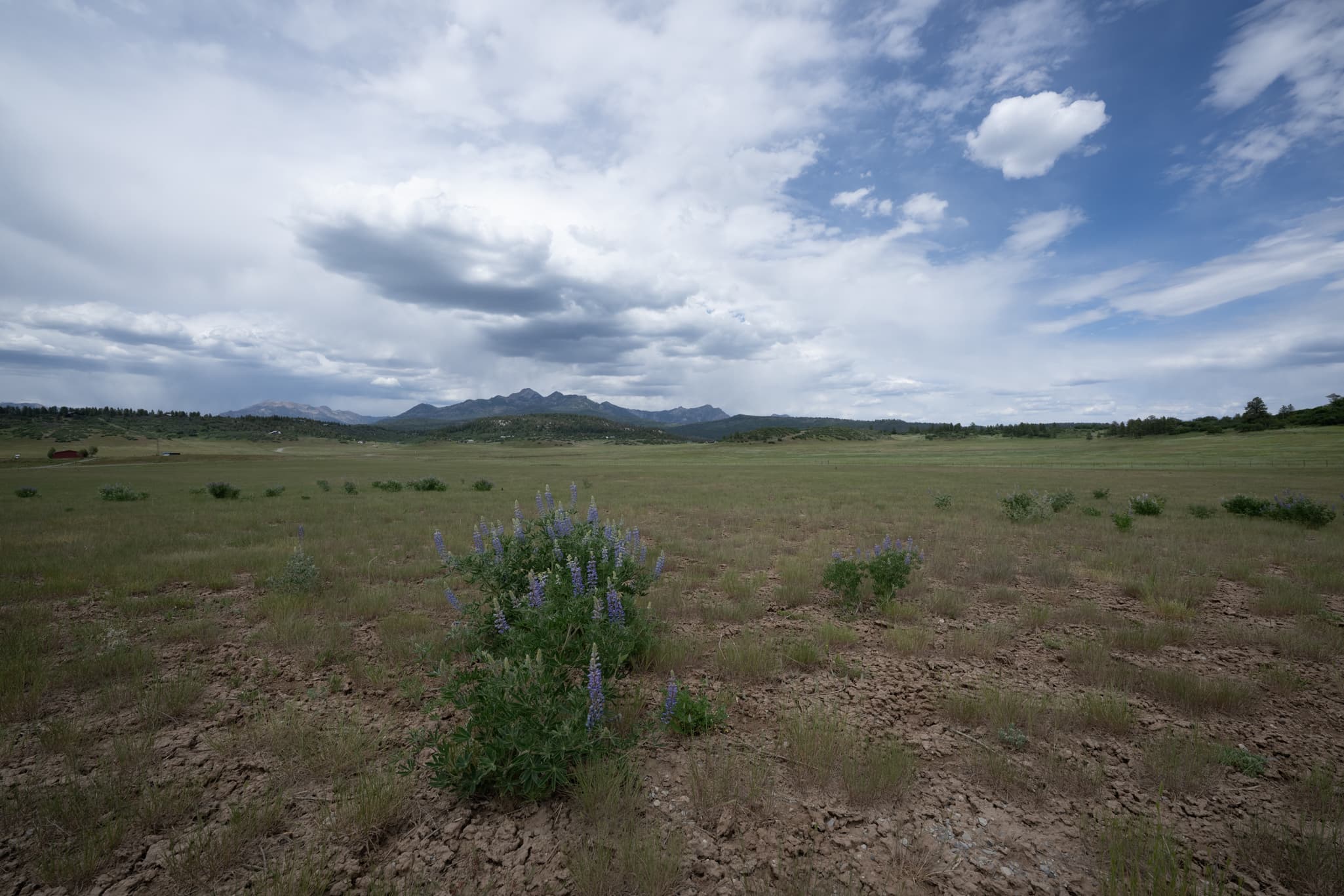 Nikon Z 14-24mm f/2.8 S at 14mm