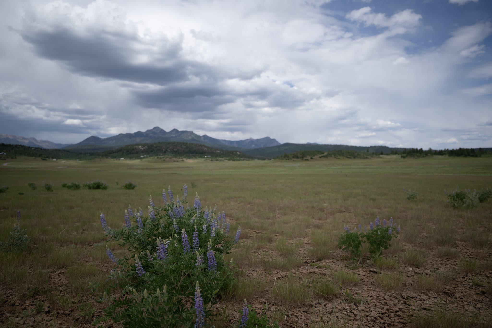 Nikon Z 14-24mm f/2.8 at f/2.8