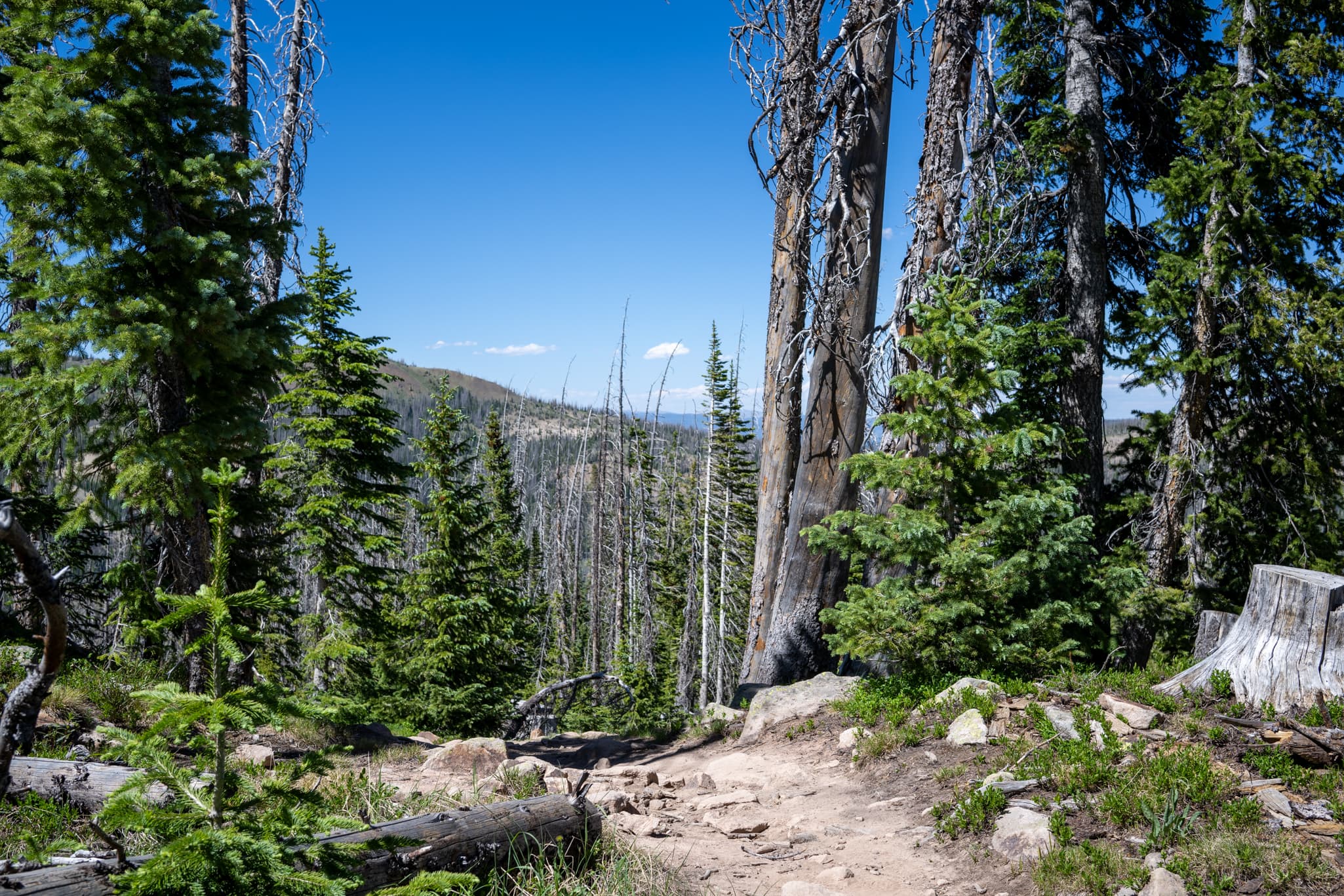 Landscape photography with the Nikon Z 40mm f/2