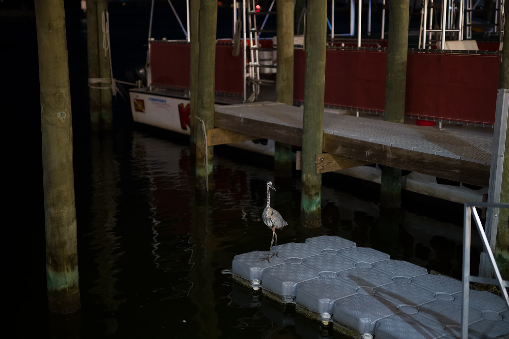 Low light photography with Nikon Z 50mm f/1.2 S