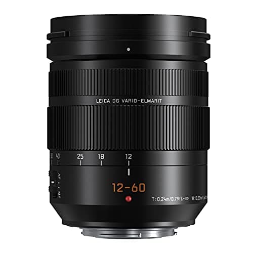 Picture of Panasonic Leica DG Vario-Elmarit 12-60mm F2.8-4.0 ASPH Power OIS