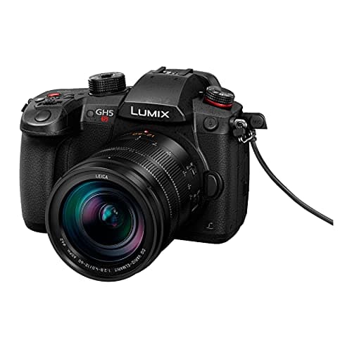 Variant image 6 of Panasonic Leica DG Vario-Elmarit 12-60mm F2.8-4.0 ASPH Power OIS