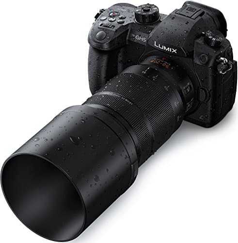 Variant image 6 of Panasonic Leica DG Vario-Elmarit 50-200mm F2.8-4.0 ASPH Power OIS