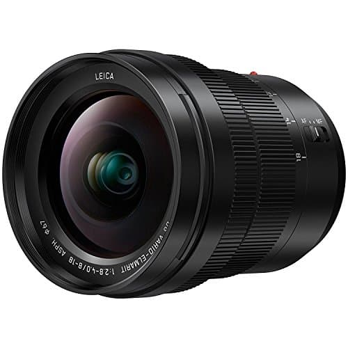 Picture of Panasonic Leica DG Vario-Elmarit 8-18mm F2.8-4.0 ASPH