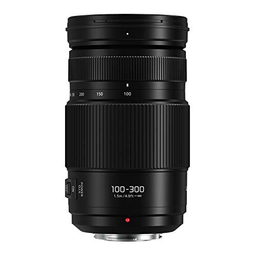 Picture of Panasonic Lumix G Vario 100-300mm F4-5.6 II Power OIS