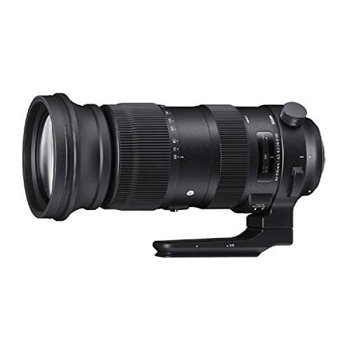 Picture of Sigma 60-600mm F4.5-6.3 DG OS HSM Sport