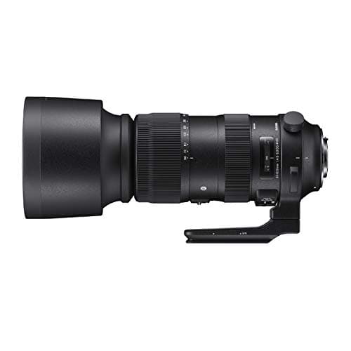 Variant image 1 of Sigma 60-600mm F4.5-6.3 DG OS HSM Sport