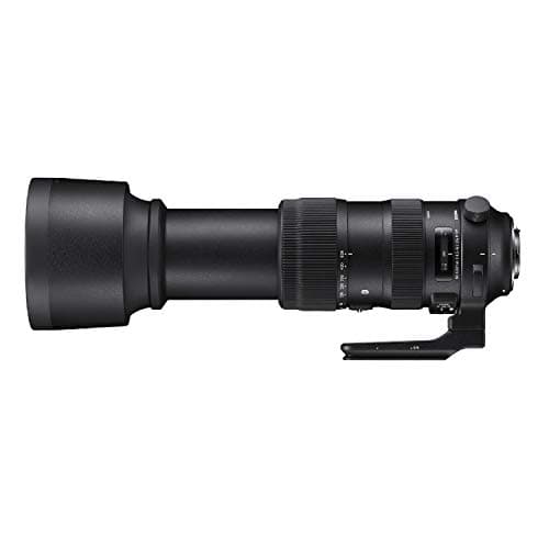 Variant image 3 of Sigma 60-600mm F4.5-6.3 DG OS HSM Sport