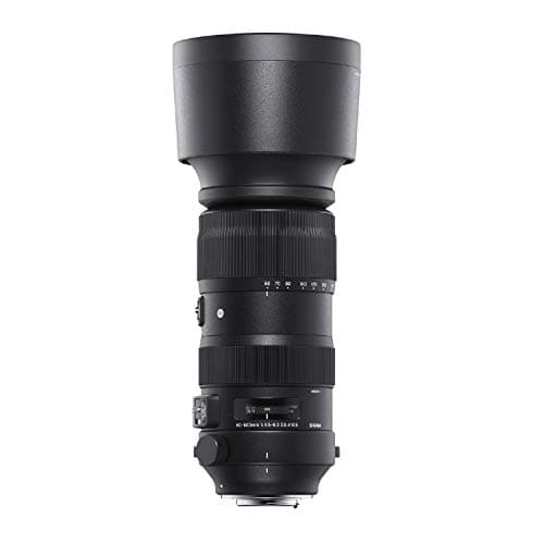 Variant image 4 of Sigma 60-600mm F4.5-6.3 DG OS HSM Sport