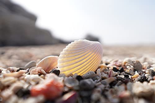 Variant image 1 of Sony E 15mm F1.4 G