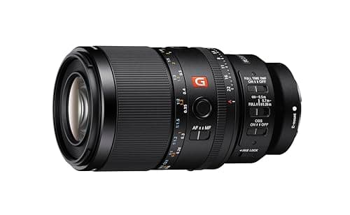 Picture of Sony FE 100mm F2.8 STF GM OSS