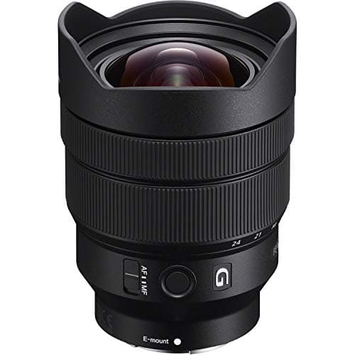 Picture of Sony FE 12-24mm F4 G