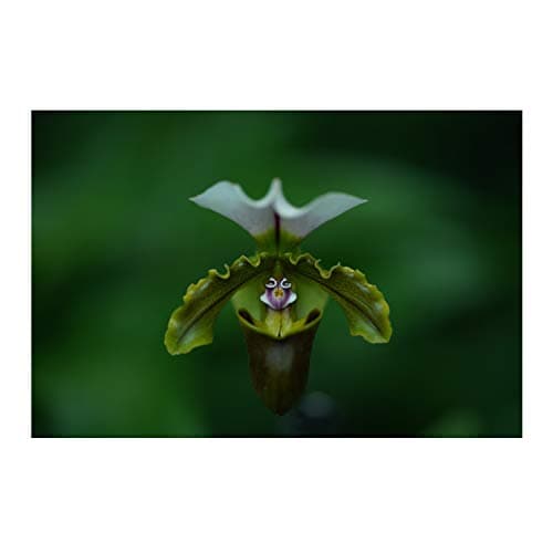 Variant image 4 of Sony FE 135mm F1.8 GM