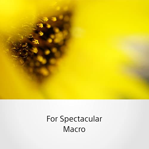 Variant image 2 of Sony FE 50mm F2.8 Macro