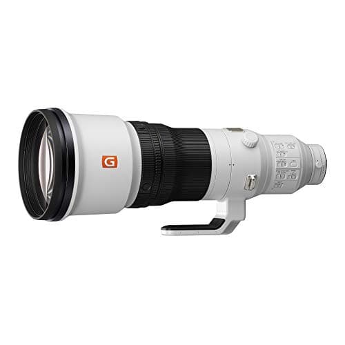 Picture of Sony FE 600mm F4 GM OSS