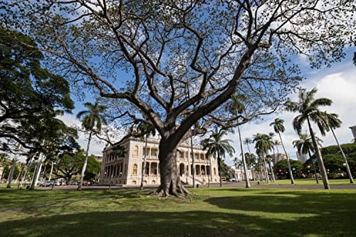 Variant image 1 of Tamron 10-24mm F3.5-4.5 Di II VC HLD
