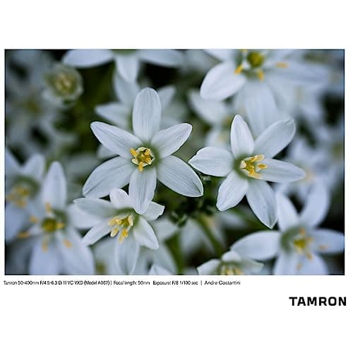 Variant image 10 of Tamron 50-400mm F4.5-6.3 Di III VC VXD