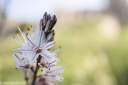 Variant image 10 of Tamron SP 35mm F1.8 Di VC USD