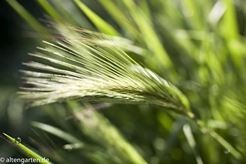 Variant image 11 of Tamron SP 35mm F1.8 Di VC USD
