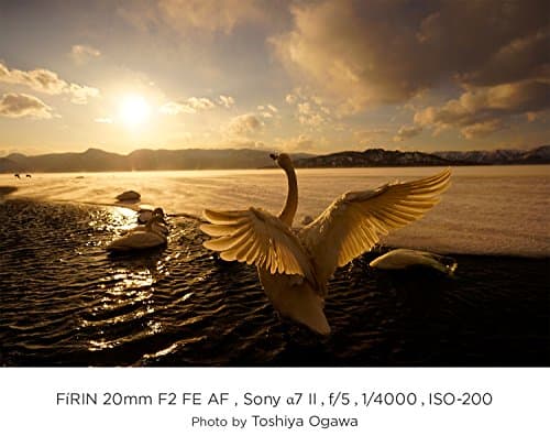 Variant image 5 of Tokina Firin 20mm F2 FE AF