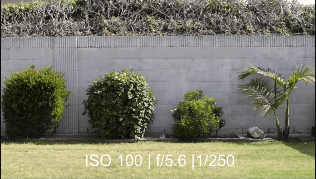 Low ISO day time Low ISO in backyard.