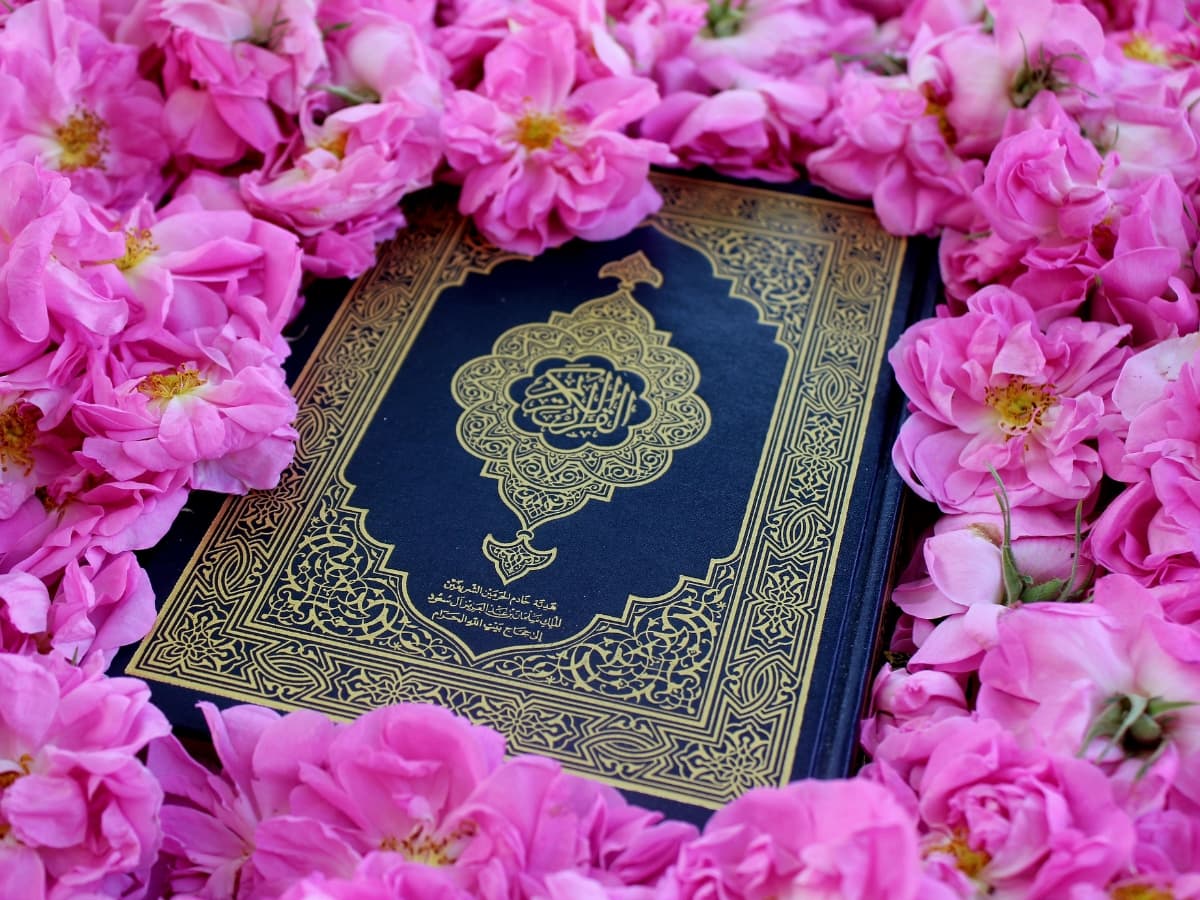 Pattern breaking Islamic book in the middle of pink flowers.