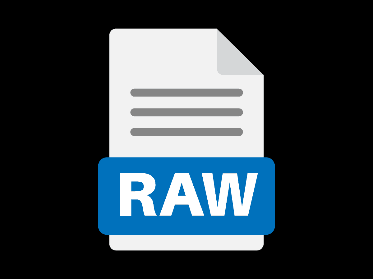 RAW file format Graphic showing a RAW file format.