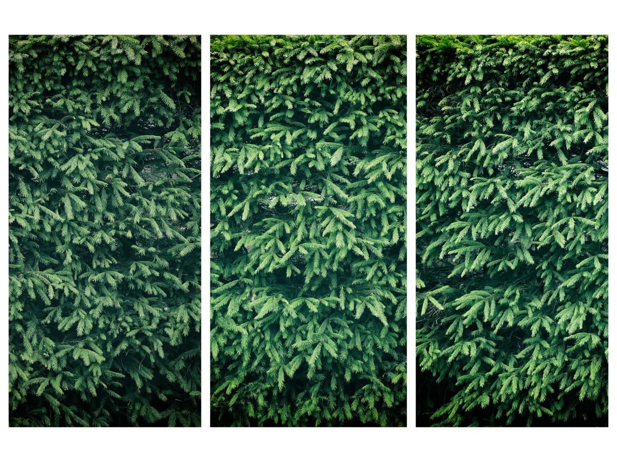 Triptych photography repetition Triptych photography repetition.