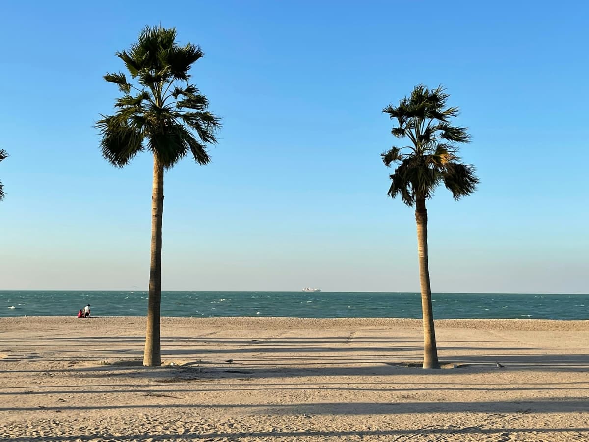 Two palm trees Two palm trees on the sand by the ocean.