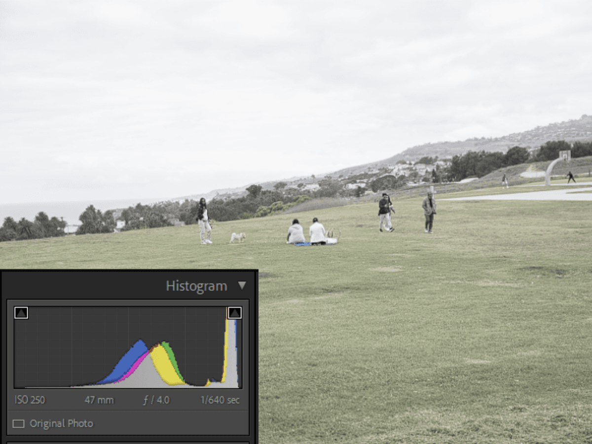 Undersaturation example People on grass with undersaturation histogram.